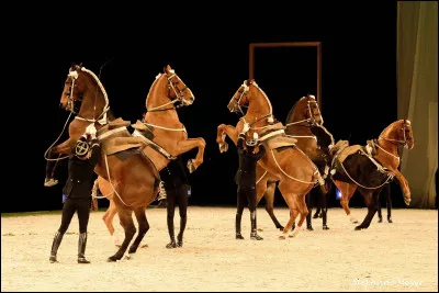 Dans quel département français se trouve le Cadre noir ?