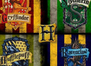 Test  quelle maison ''Harry Potter'' appartiens-tu ?