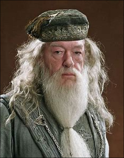 Albus Dumbledore - Albus Dumbledore prétend voir, dans le miroir du Rised, lui avec une paire de chaussettes. Évidemment, c'est faux. Que voit-il en réalité ?