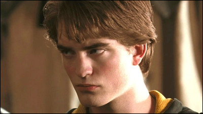 Question bonus : ce n'est pas un professeur mais j'ai oublié de l'ajouter dans l'ancien quiz...
Cédric Diggory - Gagne-t-il le Tournoi des Trois Sorciers ?