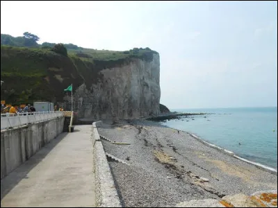 La fleur, emblème du Mexique, c'est...