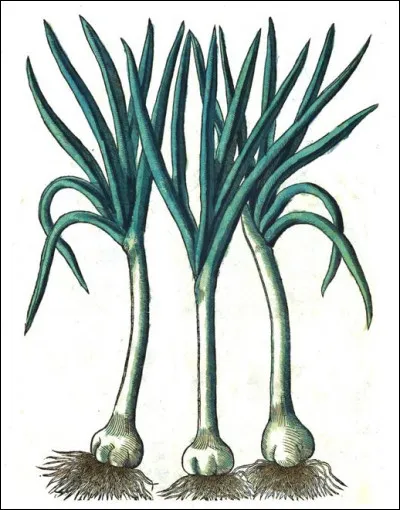 Dans un film muet de 1914, de qui, Georges Denda nous raconte-t-il les exploits ?