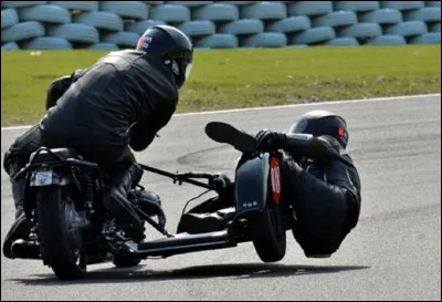 Quel nom d'animal donne-t-on souvent au passager d'un side-car ?