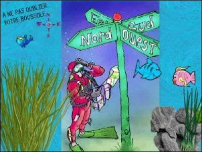 Quelle direction est indiquée par l'aiguille aimantée d'une boussole ?