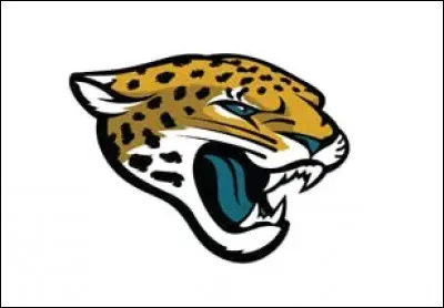 Jacksonville (Floride) > Ça roule pour eux, même s'il n'ont jamais participé au Super Bowl !