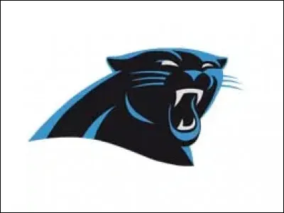 Carolina Panthers > Elles (ou plutôt ils) viennent de la ville de ...