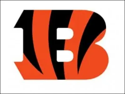 De Cinncinati, ne pas les confondre avec un groupe de musique : ce sont les ...