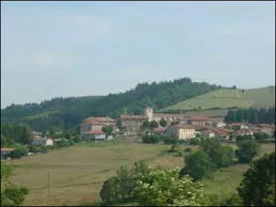 Village Rhodanien, à 723 mètres d'altitude, Les Sauvages se situe en région ...