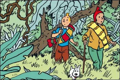 Quel est ce jeune Indien qui guide Tintin dans la jungle ?