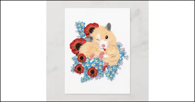 En italien, "hamster" se traduit par :