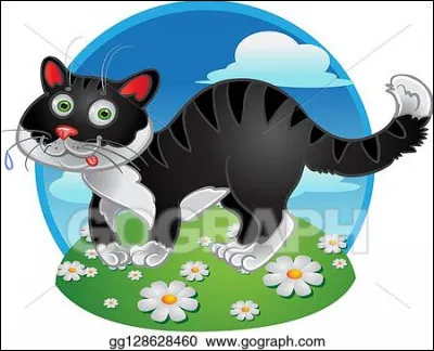 Quelle est la traduction de "chat" en italien ?