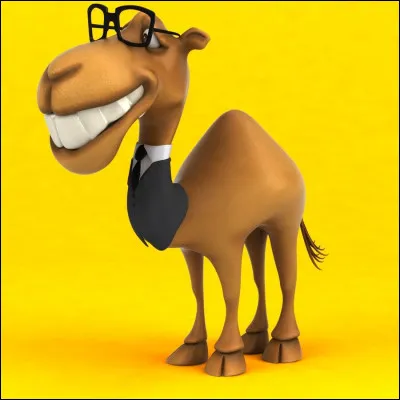 Quelle est la traduction de "chameau" en italien ?