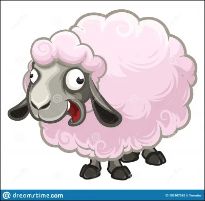 Comment traduit-on "mouton" en italien ?