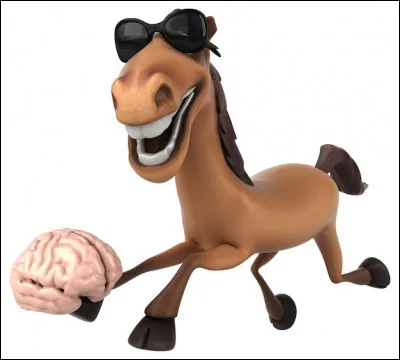 En italien, "cheval" se traduit par...