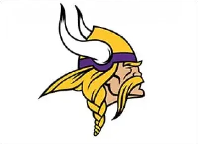 "Les Vikings" de Mineapolis (Minnesota) ont débarqué en 1960 : d'où leur vient ce nom ?
