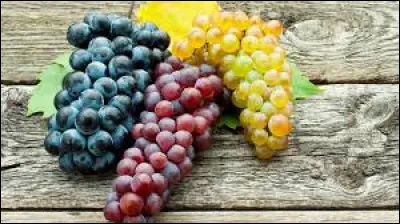 Quels sont ces fruits ?