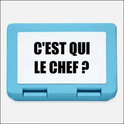 Qui est le chef des armées en France ?