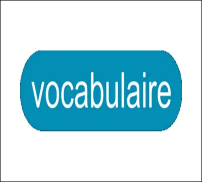 Quel est le féminin de ''chef '' ?