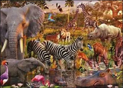 Quel est ton animal pr&eacute;f&eacute;r&eacute; ?