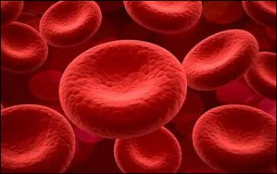 Quel est ton statut de sang ?