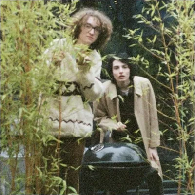 Avec qui Finn Wolfhard se relance-t-il dans le rock aux alentours de 2020 ?