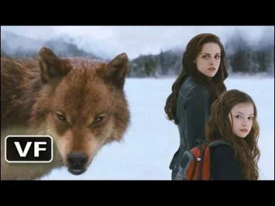 Twilight chapitre III !
