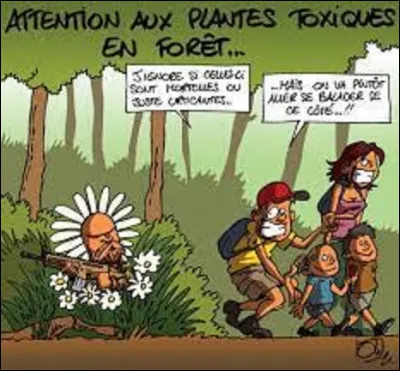 Nature : 
Quelle plante est surnommée ''L'herbe du diable'' ?