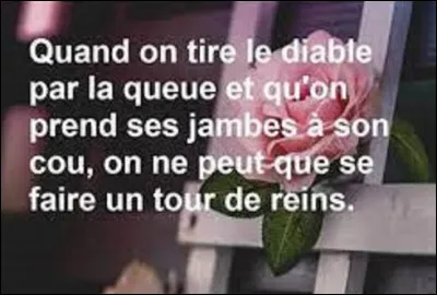 Citation : 
Quel chanteur a dit ''Quand on tire le diable par la queue et qu'on prend ses jambes à son cou, on ne peut que se faire un tour de reins'' ?