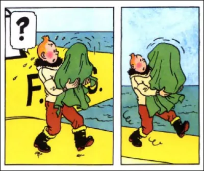 Mais que transporte Tintin dans cette couverture verte ?