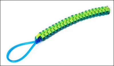 Cet article en plastique doit vous faire penser à un artiste de variété. Qui ?