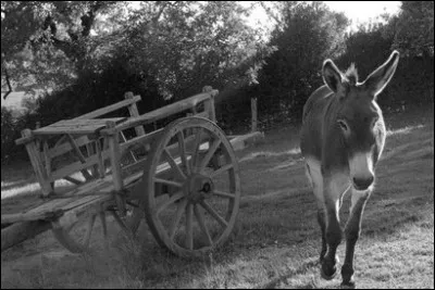 À quel chanteur vous fait penser cette photo ?