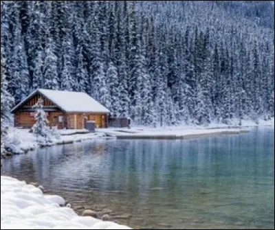 Qui chante en : "Elle attend engourdie sous la neige
Elle attend le retour du printemps" ?