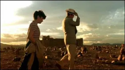 Dans "un thé au Sahara", film sorti en 1990, trois artistes américains débarquent dans un port d'Afrique du nord avec l'intention de traverser le Sahara : c'est un film de ...