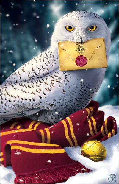 Quel animal emmènerais-tu à Poudlard ?