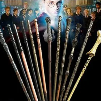 Quelle famille préfères-tu ?