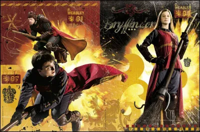 Si oui, à quel poste joues-tu ? (2)