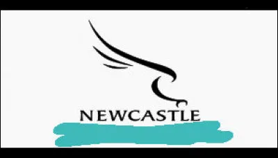 On attendait l'oiseau, le voici : il vient de Newcastle, dans la région d'Angleterre du nord-est. Ce sont ... (Complétez !)