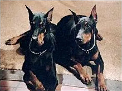 Dans cette série, il se méfiait de Zeus et Apollon !