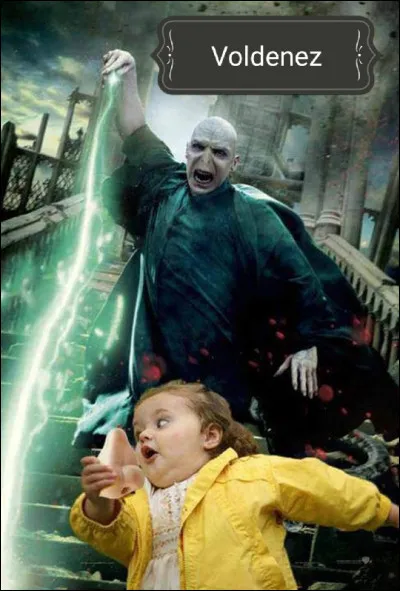 Dans "Harry Potter et le Prince de sang-m&ecirc;l&eacute;", qui ose dire "le Seigneur des t&eacute;n&egrave;bres fait une erreur"