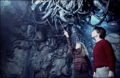 Dans "Harry Potter &agrave; l'&Eacute;cole des sorciers", quel sort Hermione utilise pour sortir du Filet du diable ?