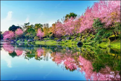 En quel mois commence cette saison ?