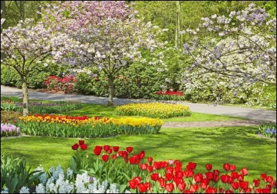 Quelle saison représente cette photo ?