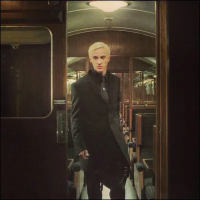 Drago Malefoy : Dans Harry Potter et le Prince de sang-mêlé que dit Drago Malefoy à Harry Potter quand il le frappe dans le train ?