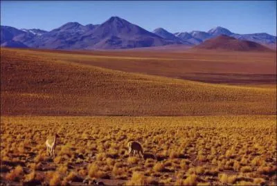 Quel dsert est travers dans la saison 5 ?