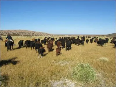 Quel est le nom des vastes plaines argentines traverses dans la saison 5 ?