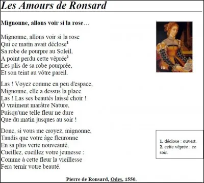 Comment s'appelle une strophe de 6 vers ?