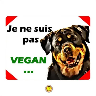 Quelle est la traduction de "chien" en anglais ?