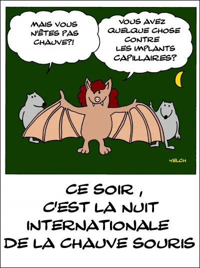 Quelle est la traduction de "chauve-souris" en anglais ?