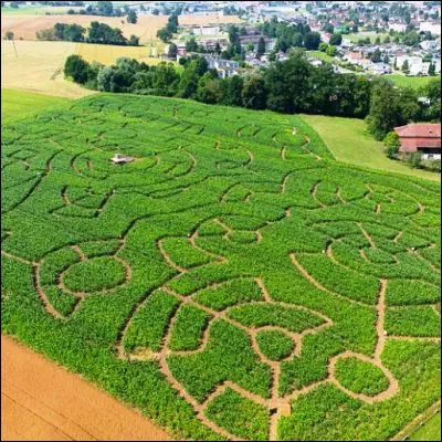 Quelle inflammation peut &eacute;voluer en labyrinthite si elle n�est pas trait&eacute;e ?
