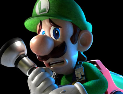 Qui est Luigi ?